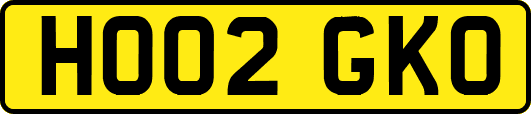 HO02GKO