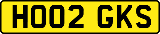 HO02GKS