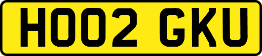 HO02GKU