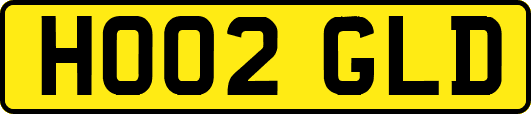 HO02GLD