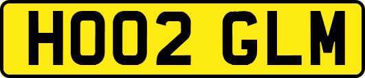 HO02GLM
