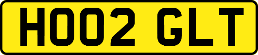 HO02GLT