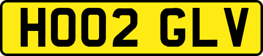 HO02GLV