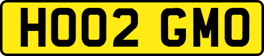 HO02GMO