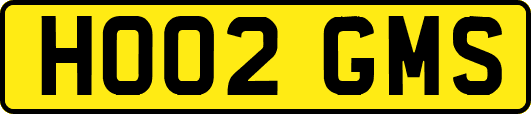 HO02GMS