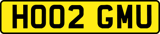 HO02GMU