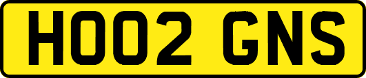 HO02GNS