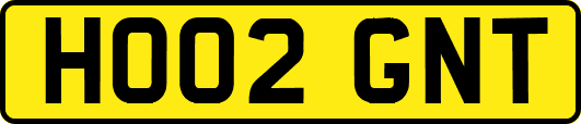 HO02GNT