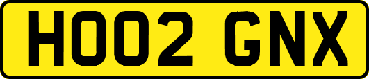 HO02GNX