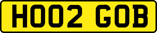 HO02GOB