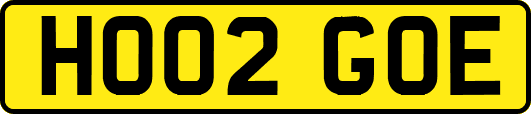 HO02GOE