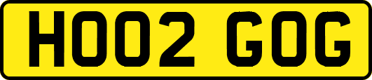 HO02GOG