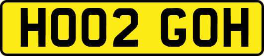 HO02GOH