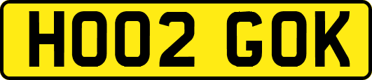 HO02GOK