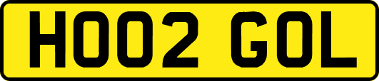 HO02GOL