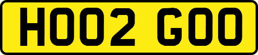 HO02GOO