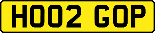 HO02GOP