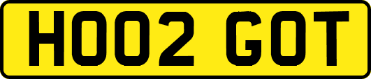 HO02GOT