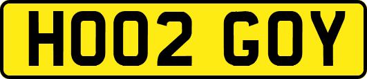 HO02GOY
