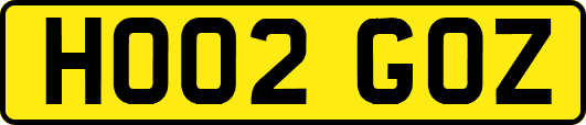 HO02GOZ
