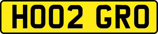 HO02GRO
