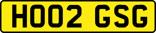 HO02GSG