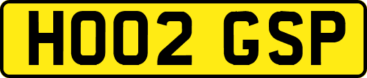HO02GSP
