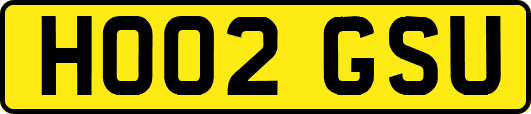 HO02GSU