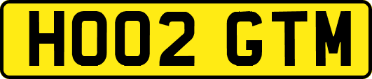 HO02GTM