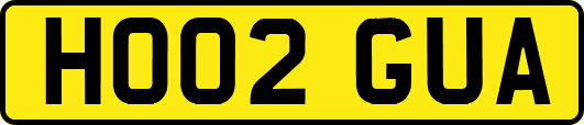 HO02GUA