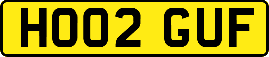 HO02GUF