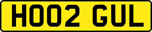 HO02GUL