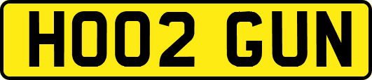 HO02GUN
