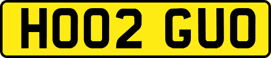 HO02GUO