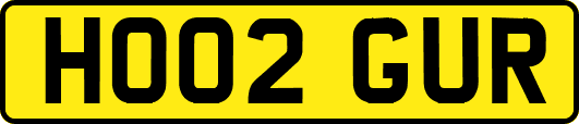 HO02GUR