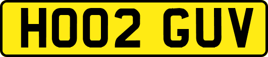 HO02GUV