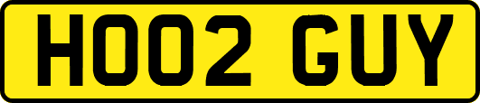 HO02GUY