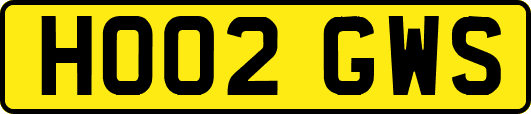 HO02GWS