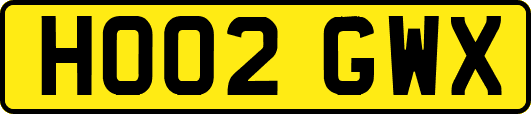 HO02GWX