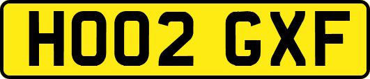 HO02GXF