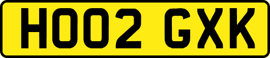 HO02GXK
