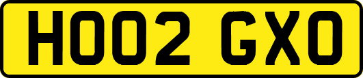 HO02GXO