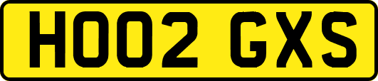 HO02GXS