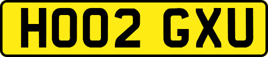 HO02GXU