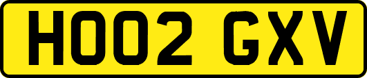 HO02GXV