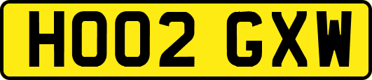 HO02GXW