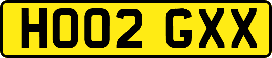 HO02GXX