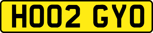 HO02GYO