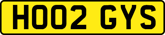 HO02GYS