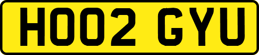 HO02GYU